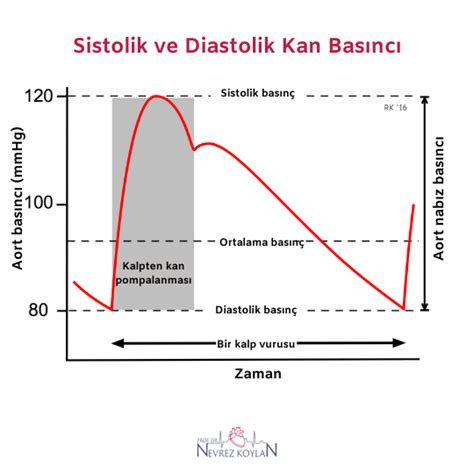 diastolik basınç nedir